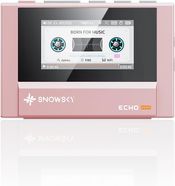 FiiO Echo MINI
