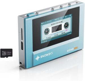 FiiO Echo MINI